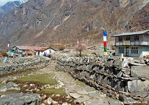 チベット仏教のシンボル、マニ石が並ぶ道